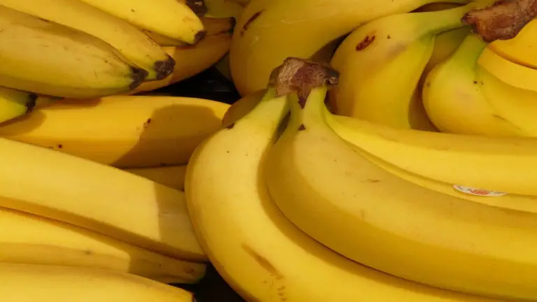 Por que os tenistas comem banana?